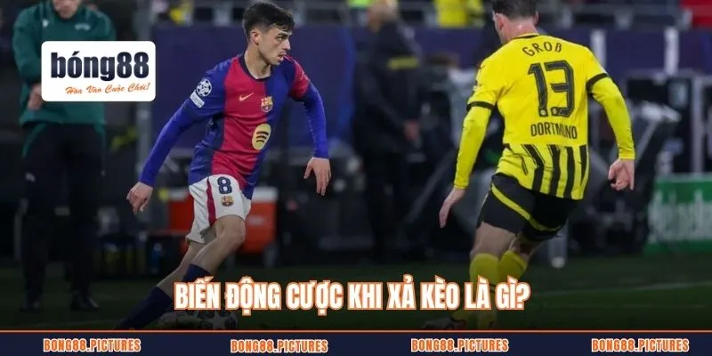 Biến động cược khi xả kèo là gì?