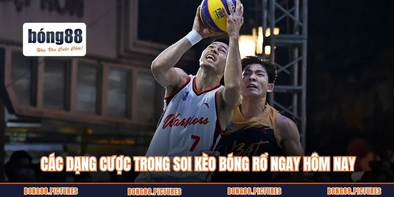 Các dạng cược trong soi kèo bóng rổ ngay hôm nay