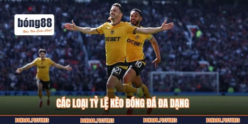 Các loại tỷ lệ kèo bóng đá đa dạng