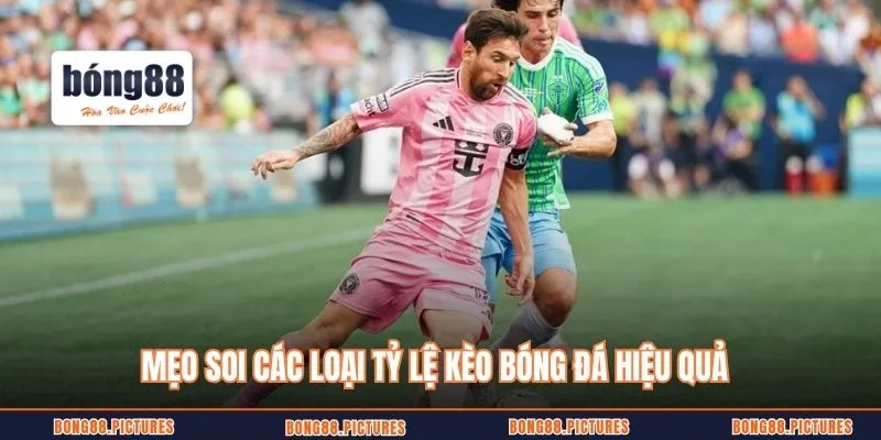 Mẹo soi các loại tỷ lệ kèo bóng đá hiệu quả
