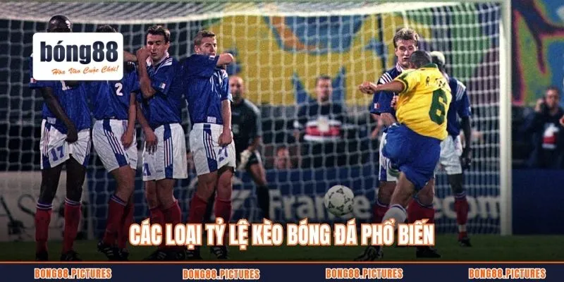 Các loại tỷ lệ kèo bóng đá phổ biến