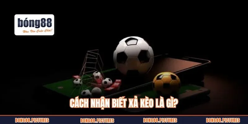 Cách nhận biết xả kèo là gì?