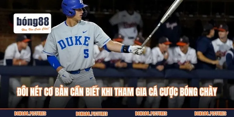 Đôi nét cơ bản cần biết khi tham gia cá cược bóng chày