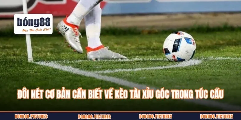 Đôi nét cơ bản cần biết về kèo tài xỉu góc trong túc cầu