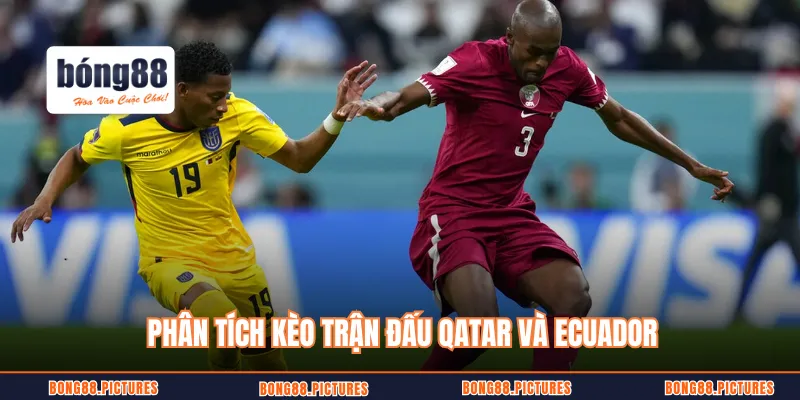 Phân tích kèo trận đấu Qatar và Ecuador
