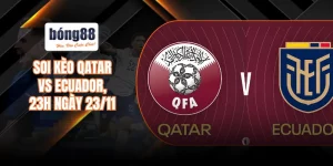 Qatar vs Ecuador