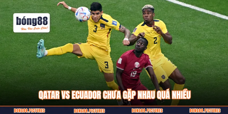 Qatar vs Ecuador chưa gặp nhau quá nhiều