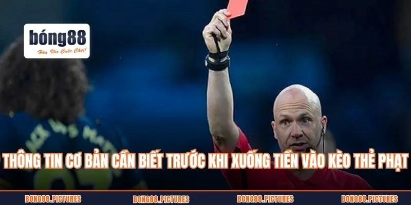 Thông tin cơ bản cần biết trước khi xuống tiền vào kèo thẻ phạt bóng đá
