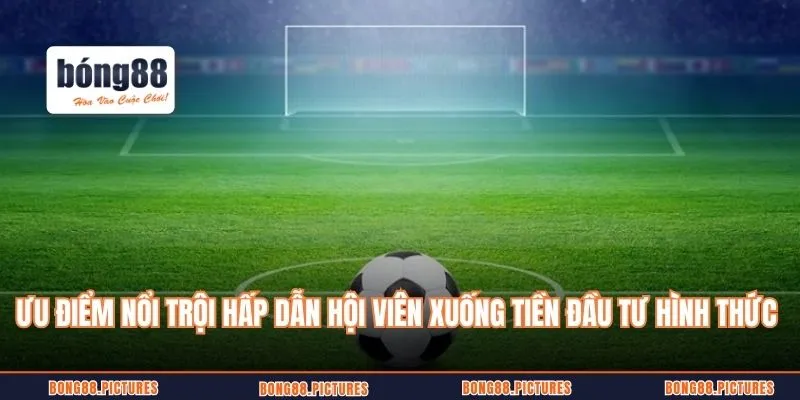 Ưu điểm nổi trội hấp dẫn hội viên xuống tiền đầu tư hình thức này