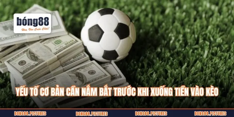 Yếu tố cơ bản cần nắm bắt trước khi xuống tiền vào kèo cược xiên